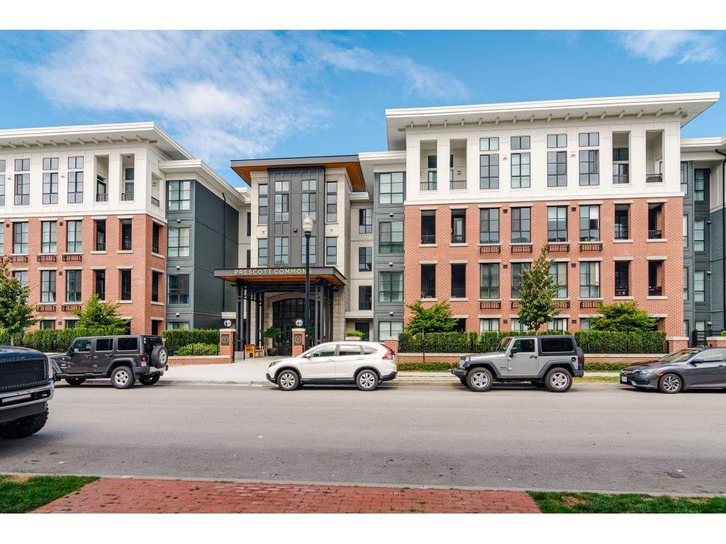 listing image 1103512885437560139