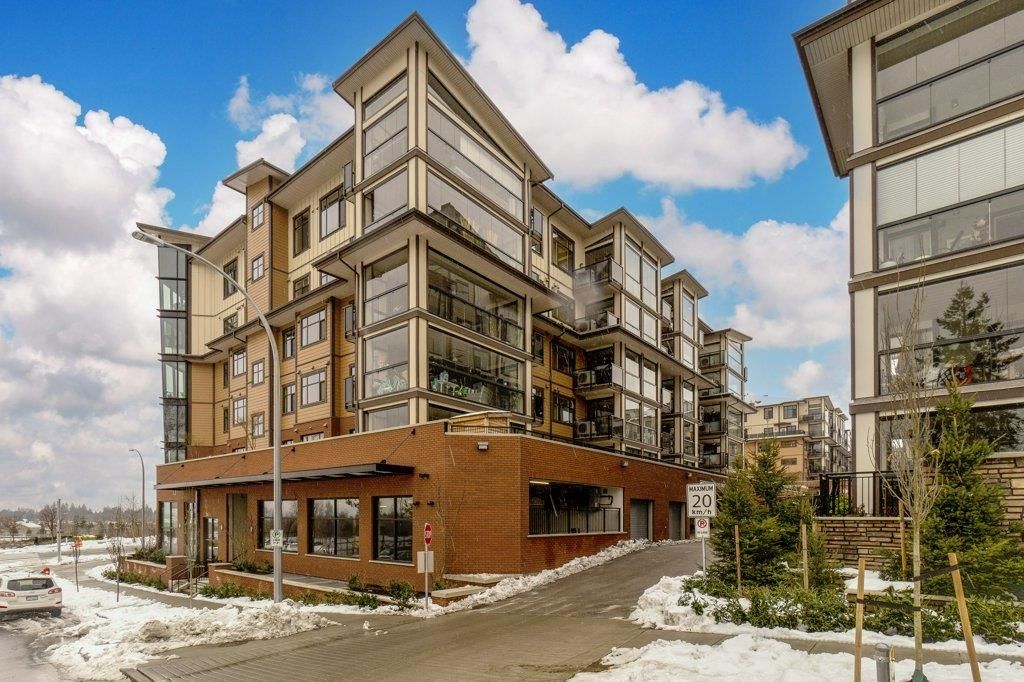 listing image 1105639064730136121