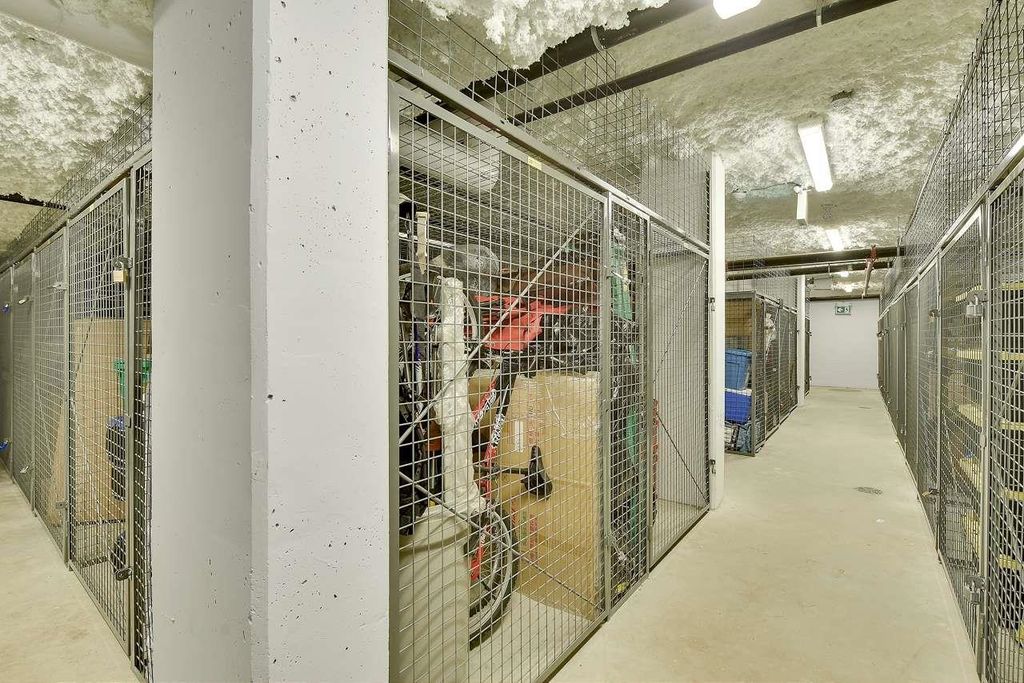 listing image 1103998559922789733