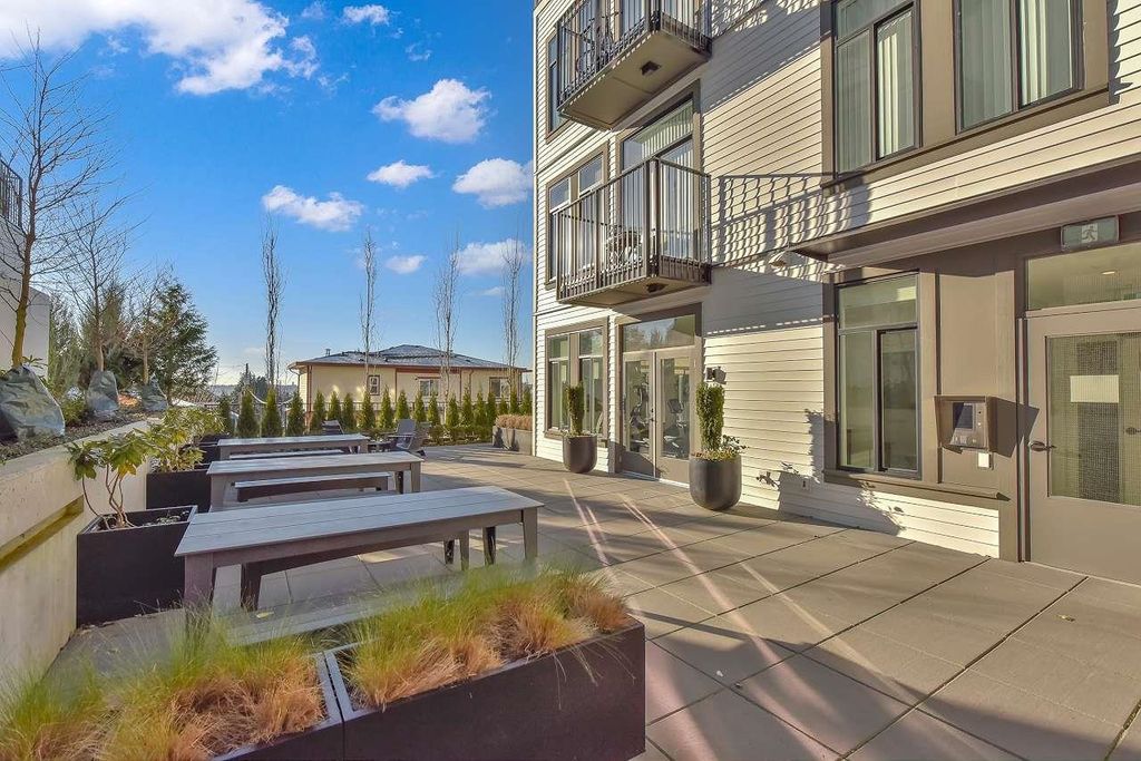 listing image 1103433778173633715