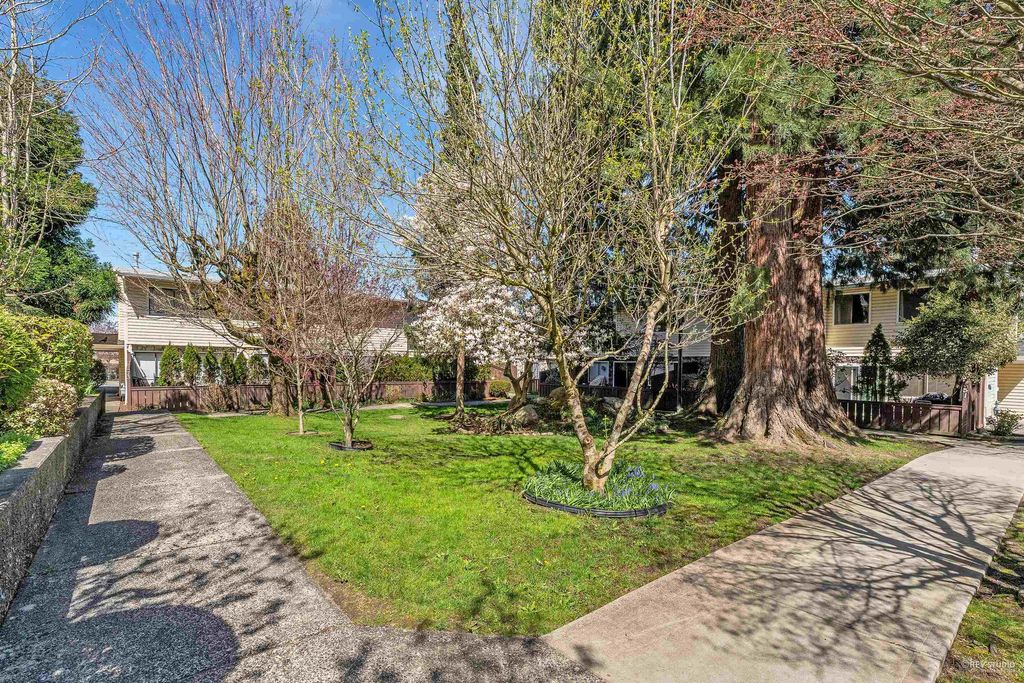 listing image 1103586506769524630