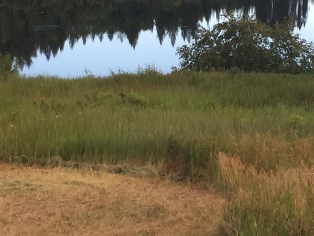 listing image 1105307195474189915