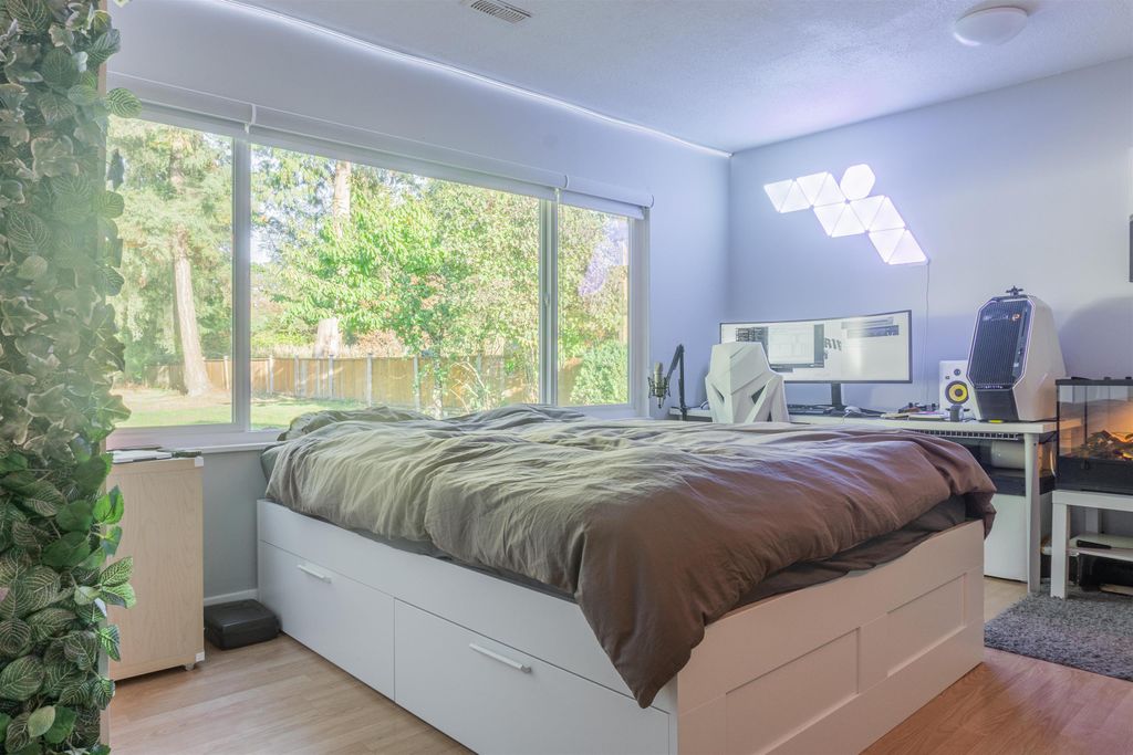listing image 1109866992603198657