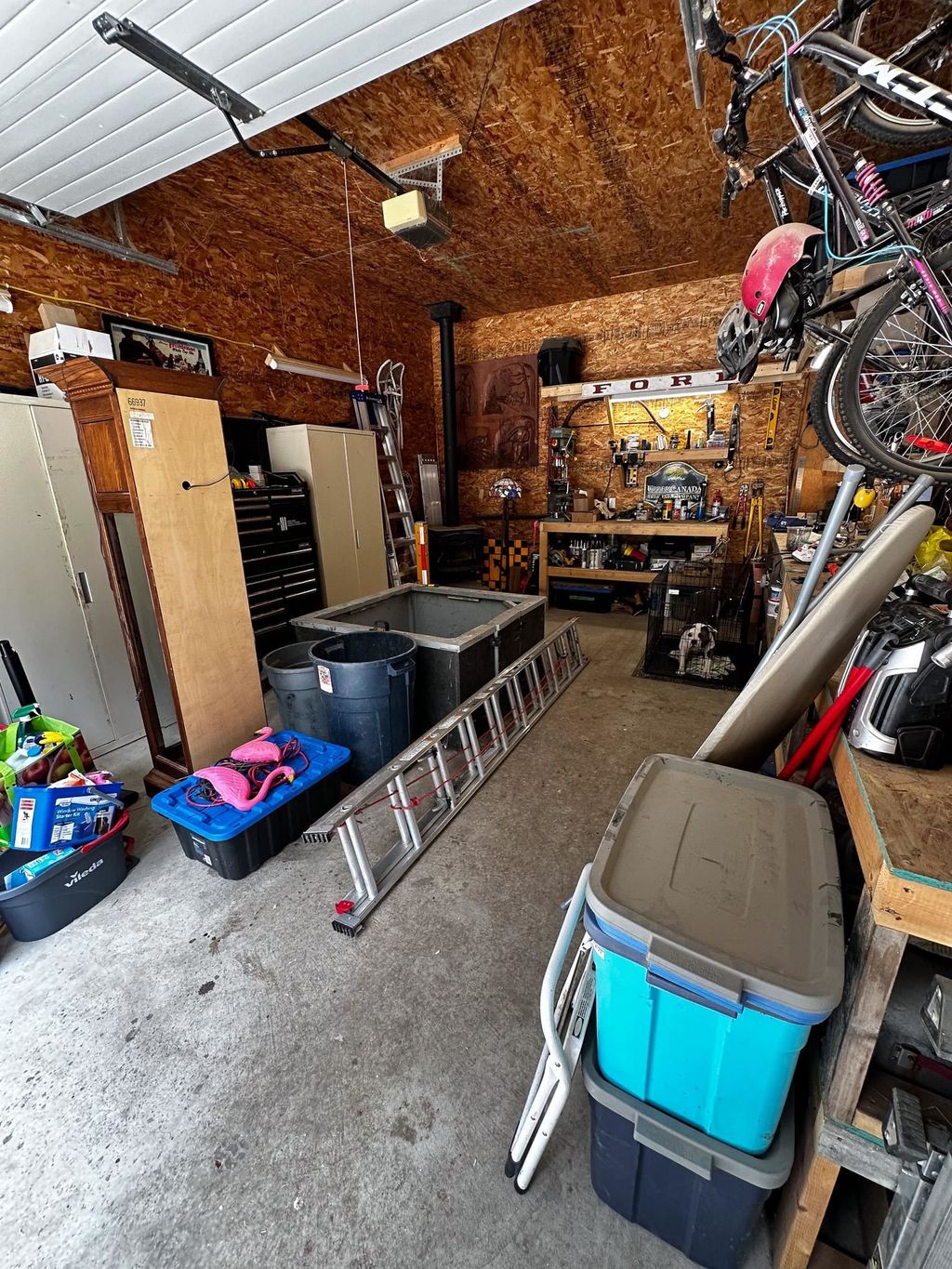 listing image 1109813842019298412