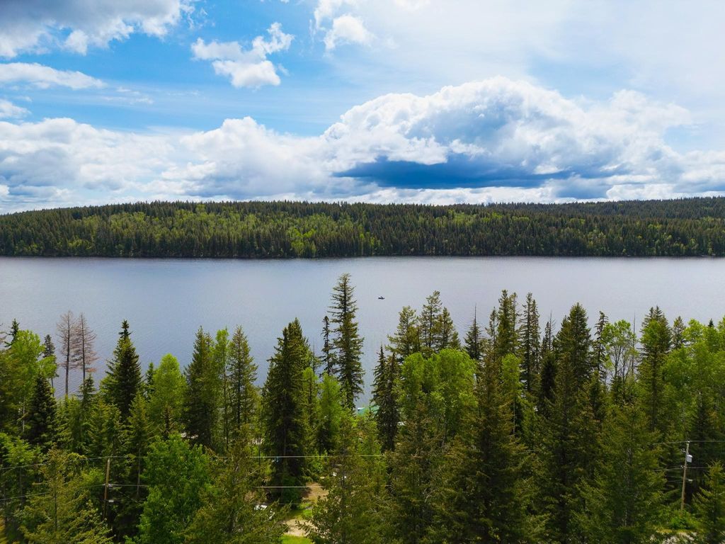 listing image 1101822715126358561