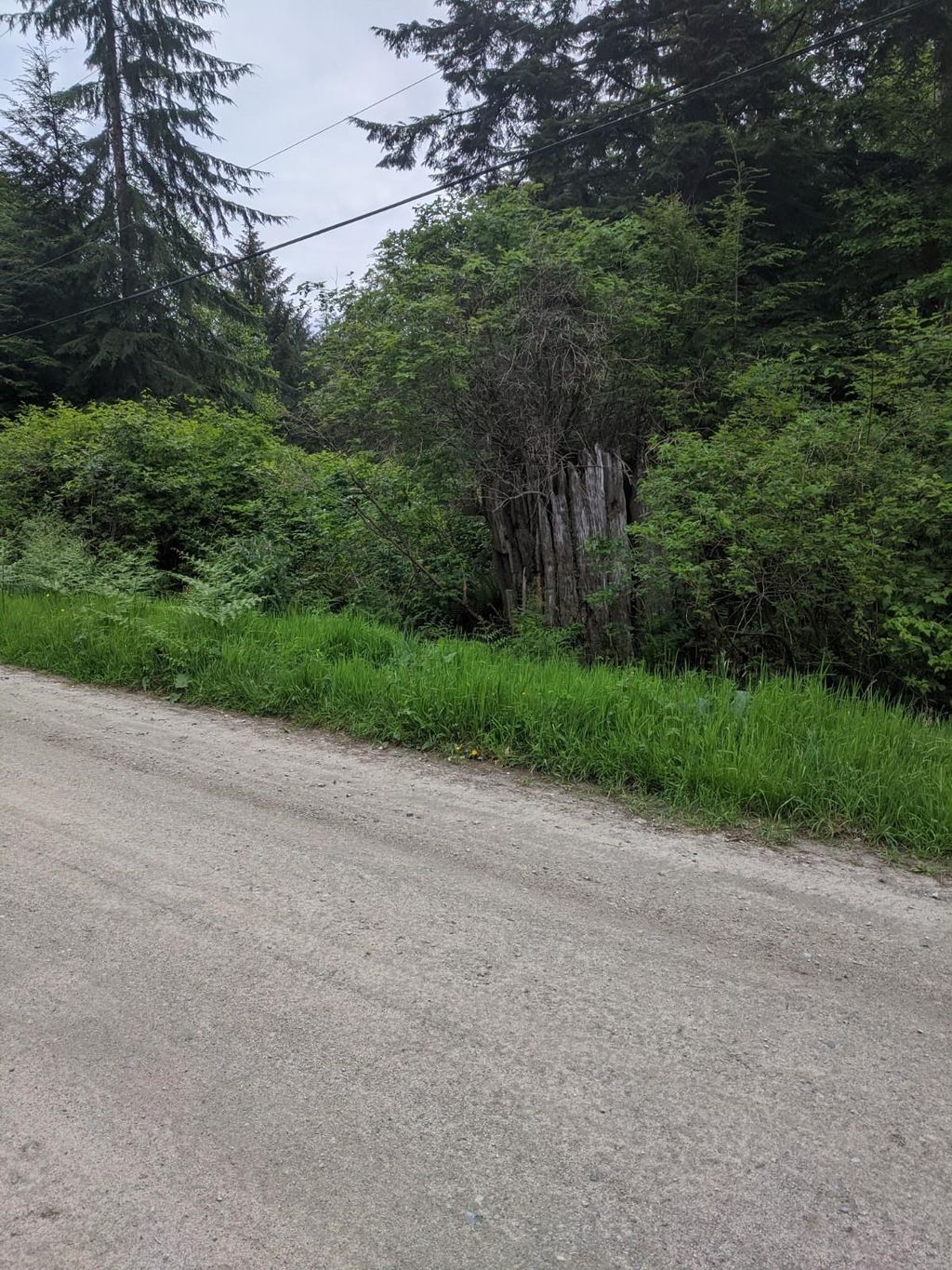 listing image 1104872856138200106