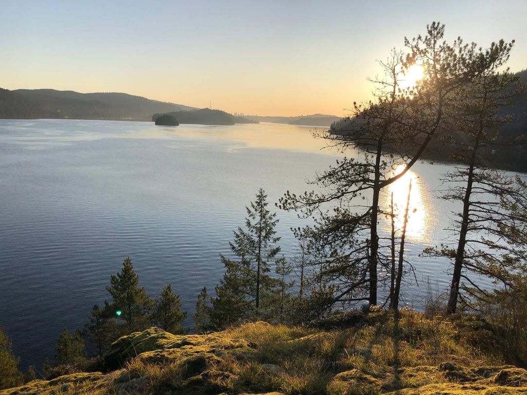 listing image 1102018106141789987