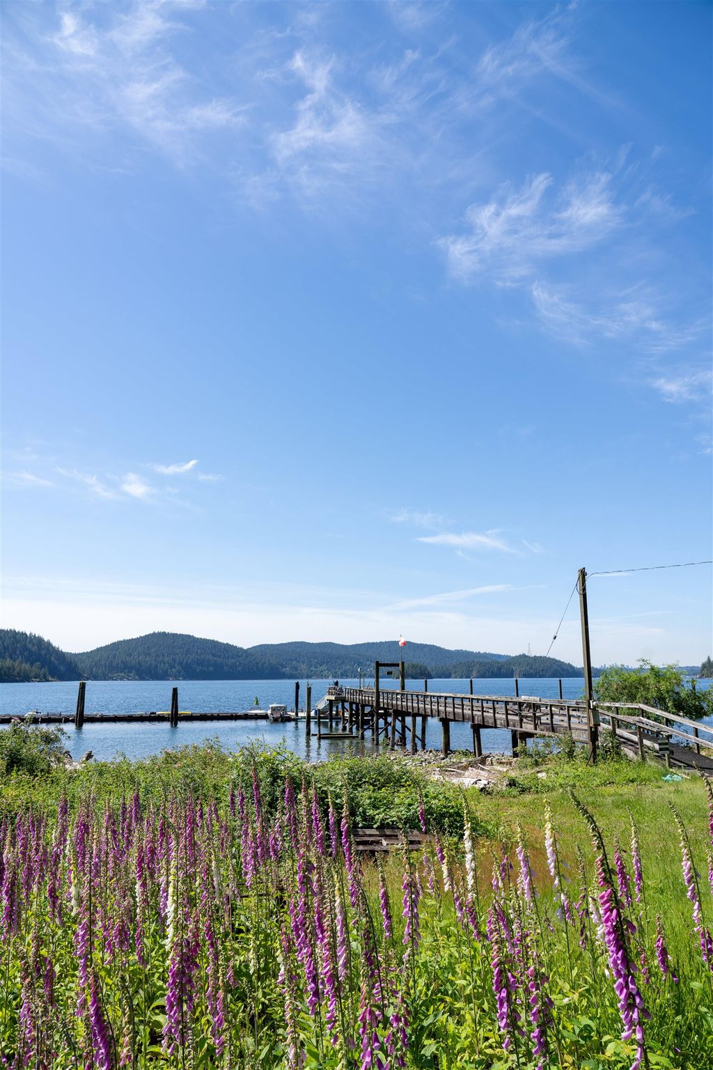 listing image 1109365393463849849