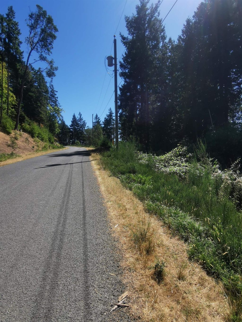 listing image 1108150637694841602