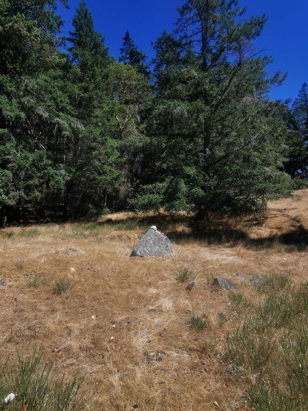 listing image 1109921022154424104