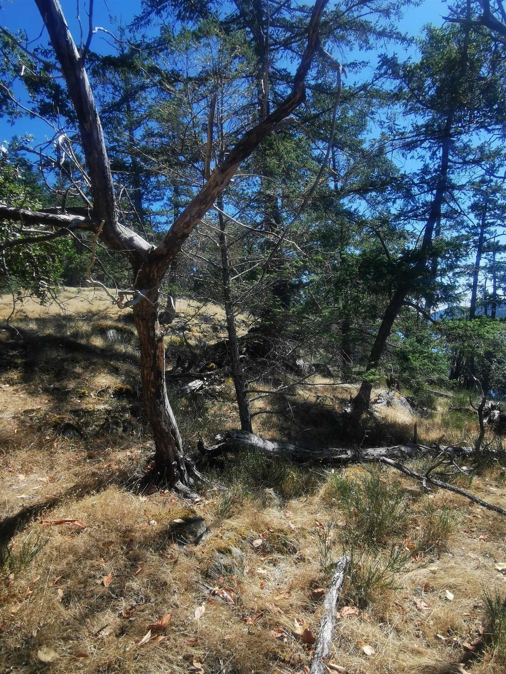 listing image 1106994216308462583