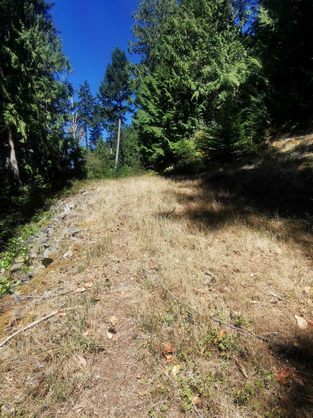 listing image 1103484479493519766
