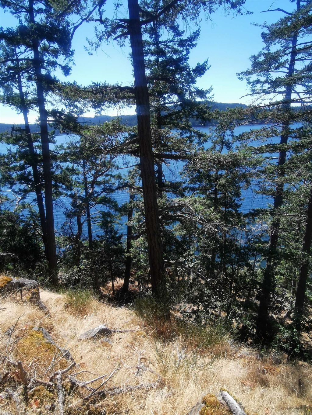 listing image 1104222866044183458