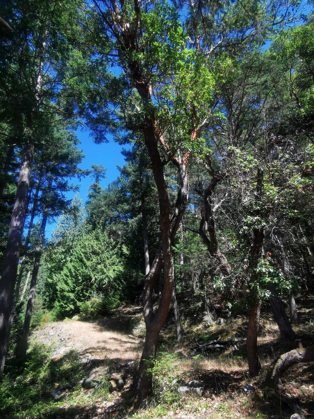 listing image 1107654540071750783