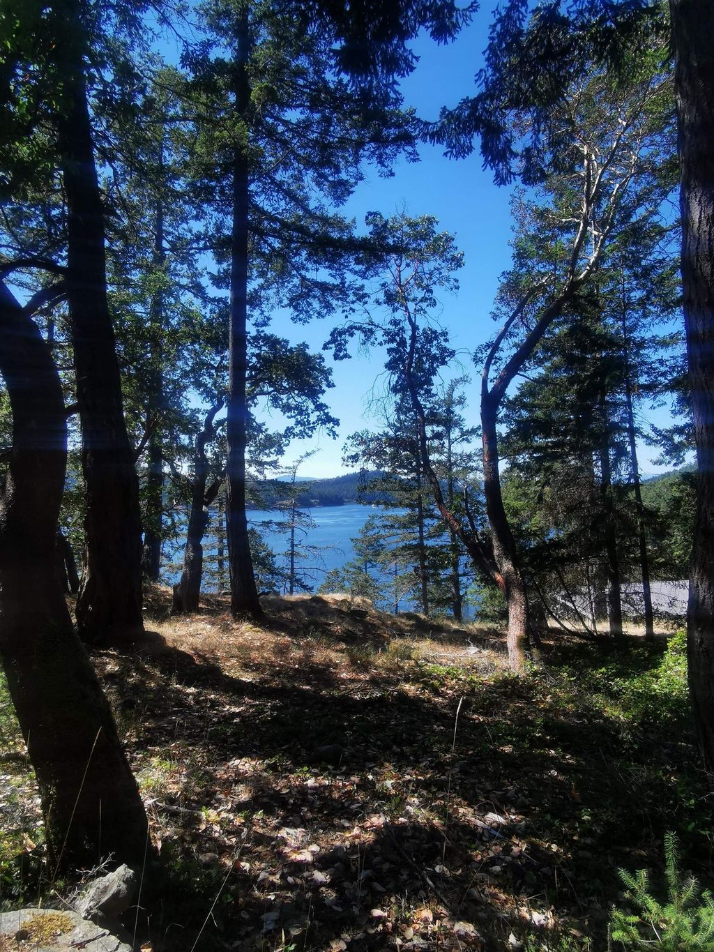 listing image 1104370649283988092