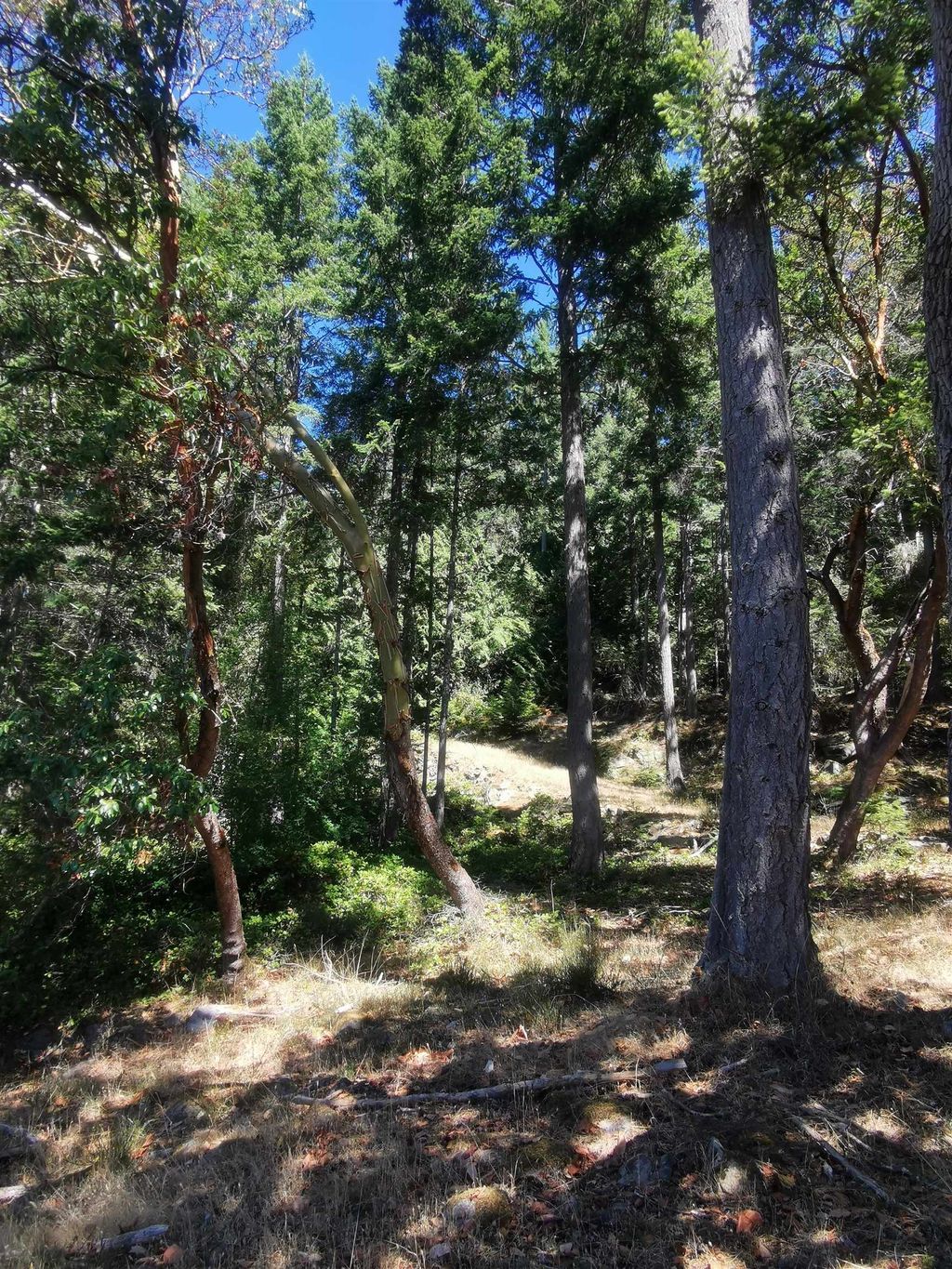 listing image 1103202477710999842