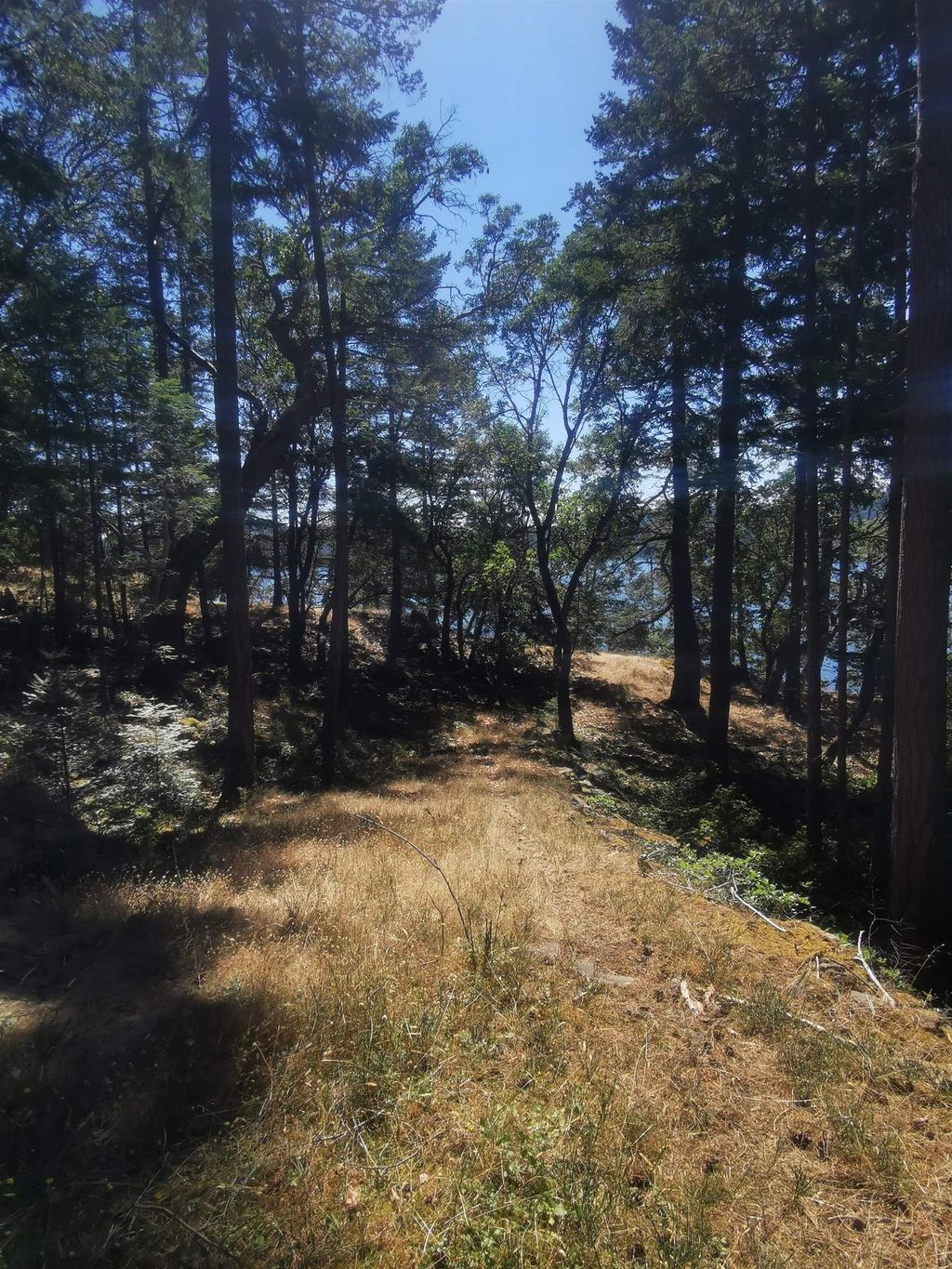 listing image 1100658681429140539