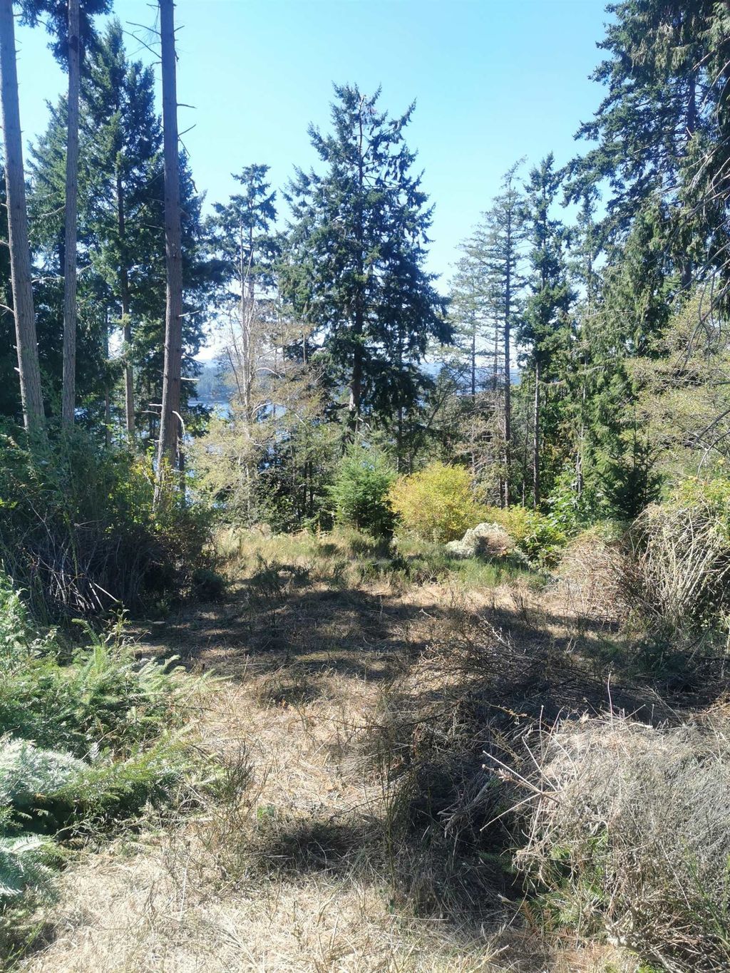listing image 1101829625719488379