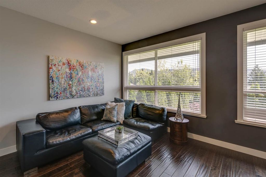 listing image 1102474253752962216