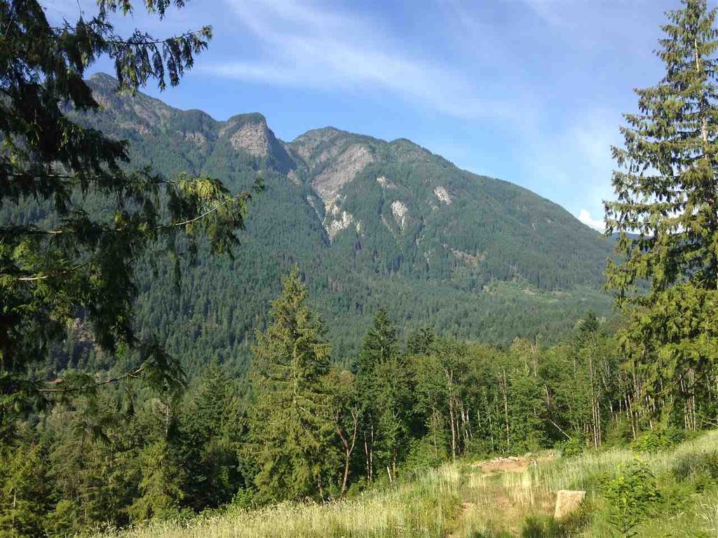 listing image 1108462062948008094