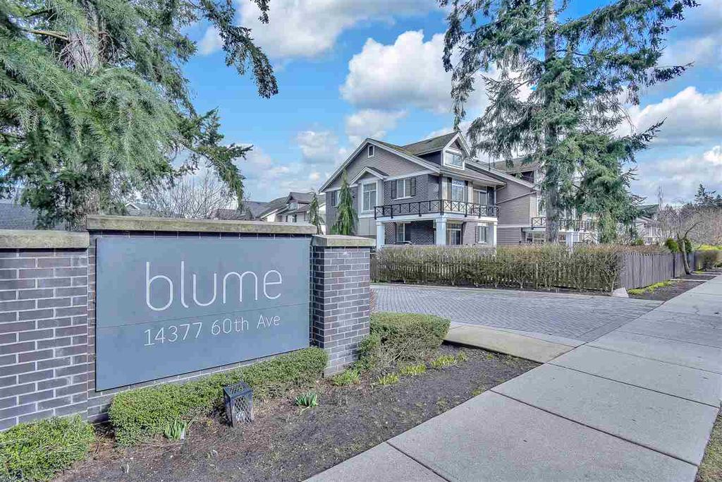 listing image 1102799468045566434