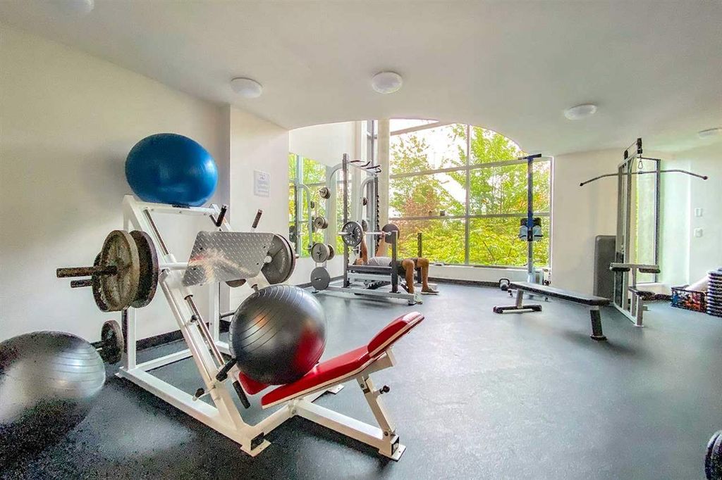 listing image 1102394901930712747