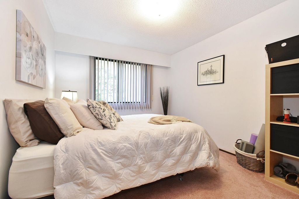 listing image 1102113607291651800