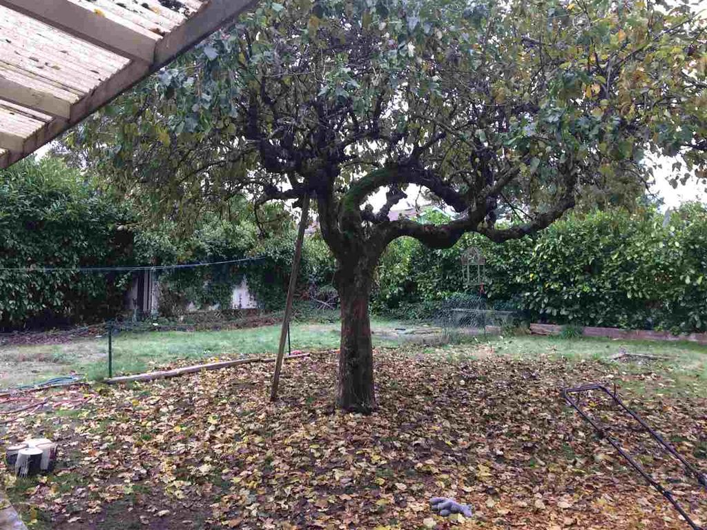 listing image 1104981934712003431