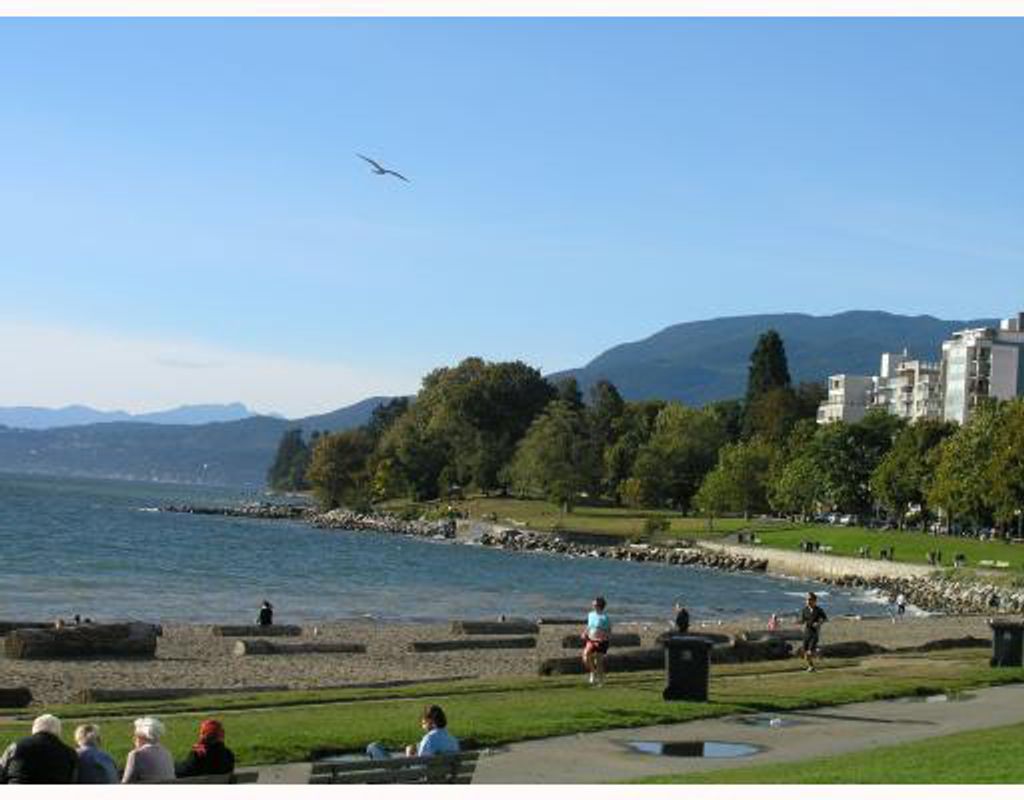 listing image 1104955584238818838