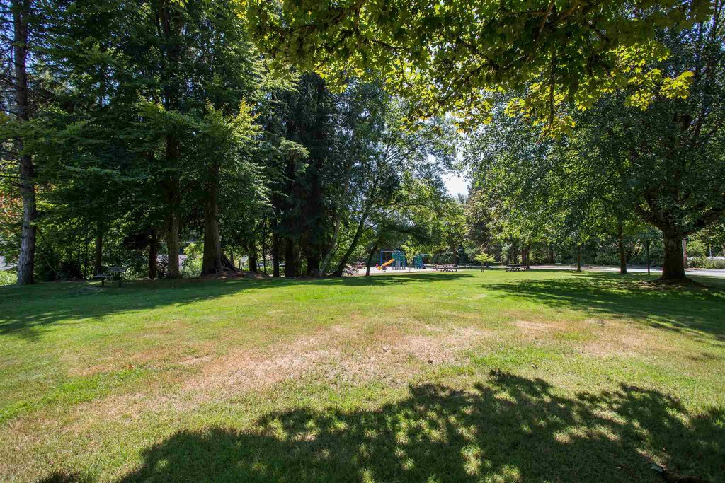 listing image 1107163260428885145