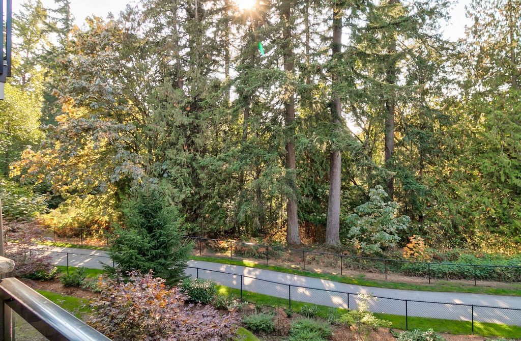 listing image 1101128472953296883