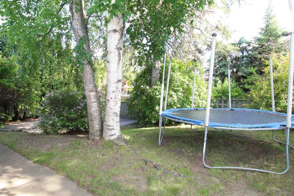 listing image 1101701608831213648
