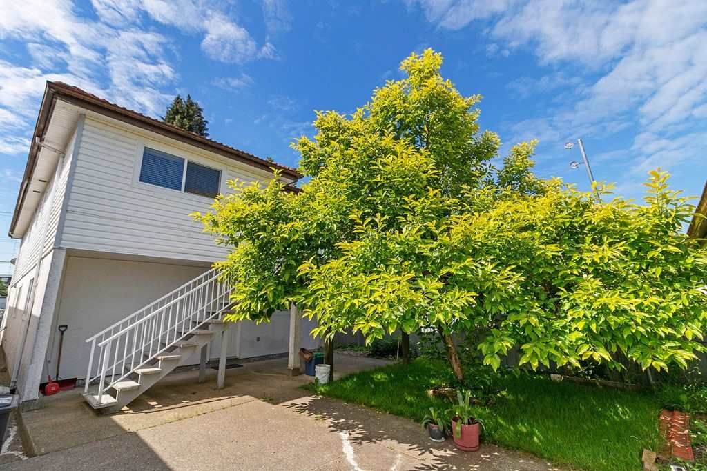 listing image 1107998927322769931