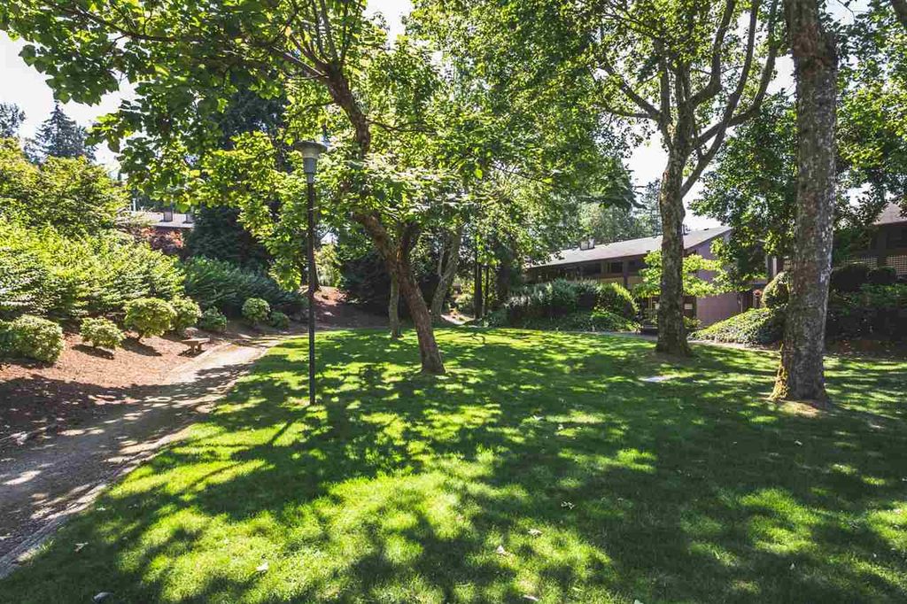 listing image 1101219921913975811