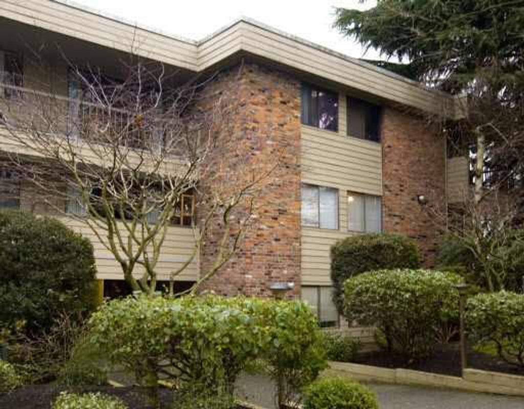 listing image 1101028196939709267