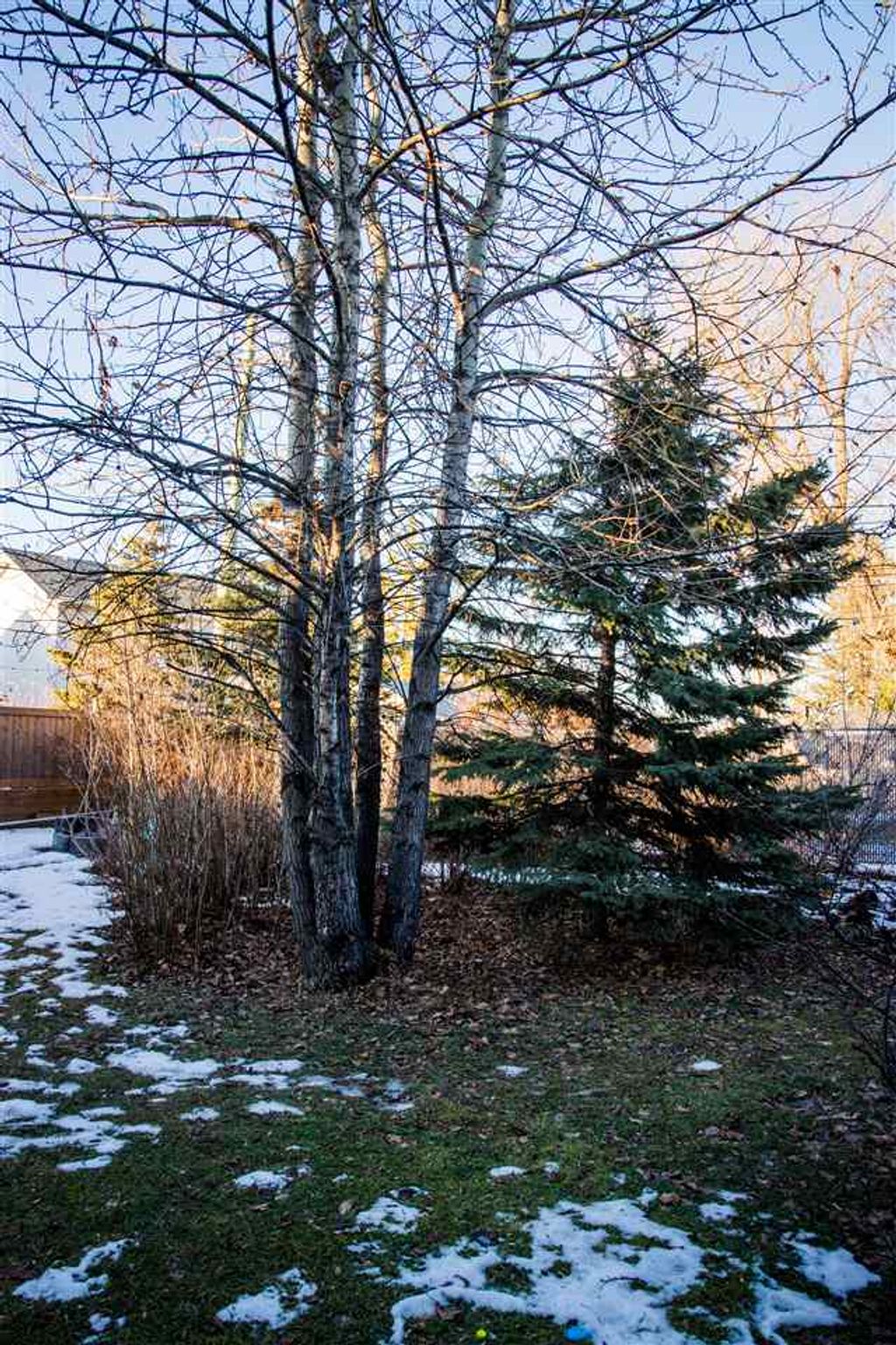 listing image 1103922082406008829