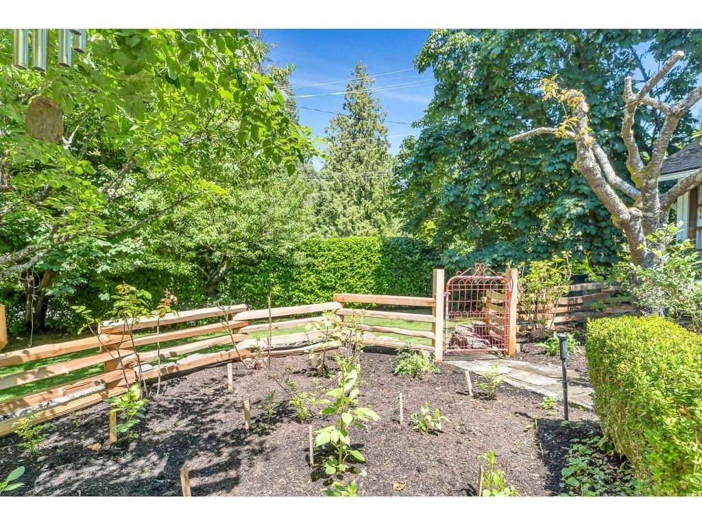listing image 1101381825562114492