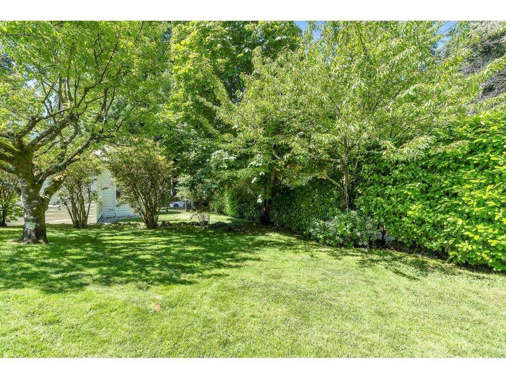 listing image 1107737838256818980