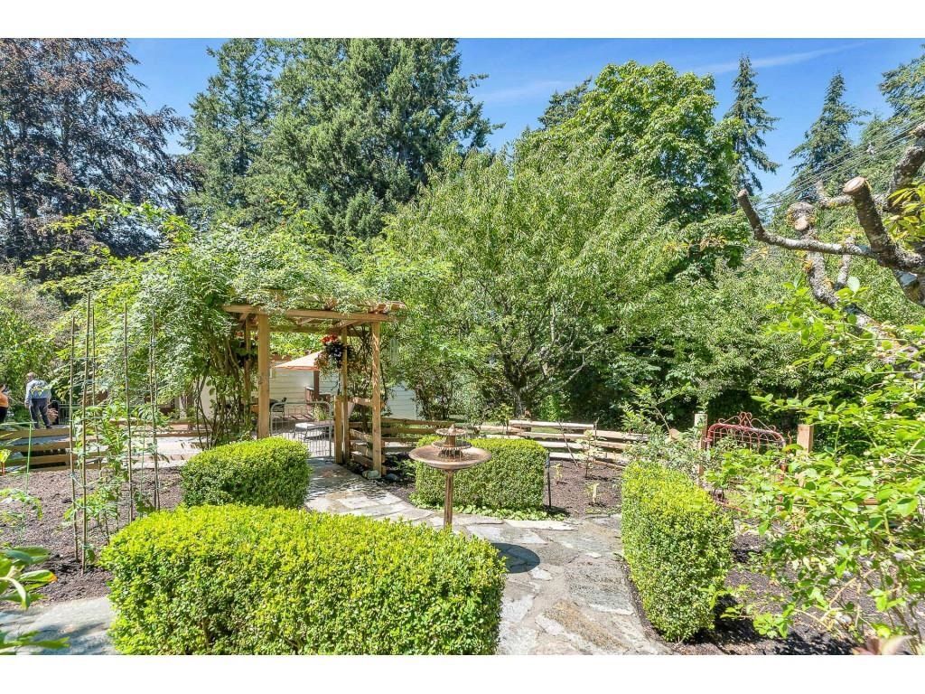 listing image 1108475041665960896