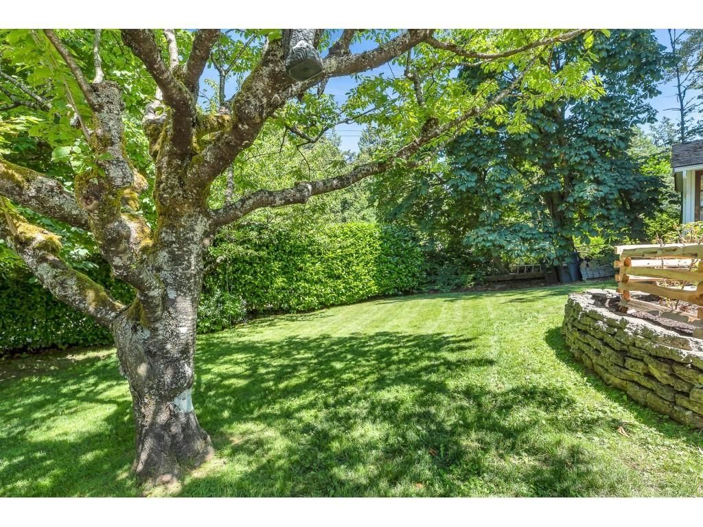 listing image 1107797002376202739