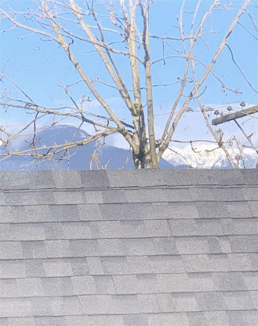 listing image 1105510207508548875