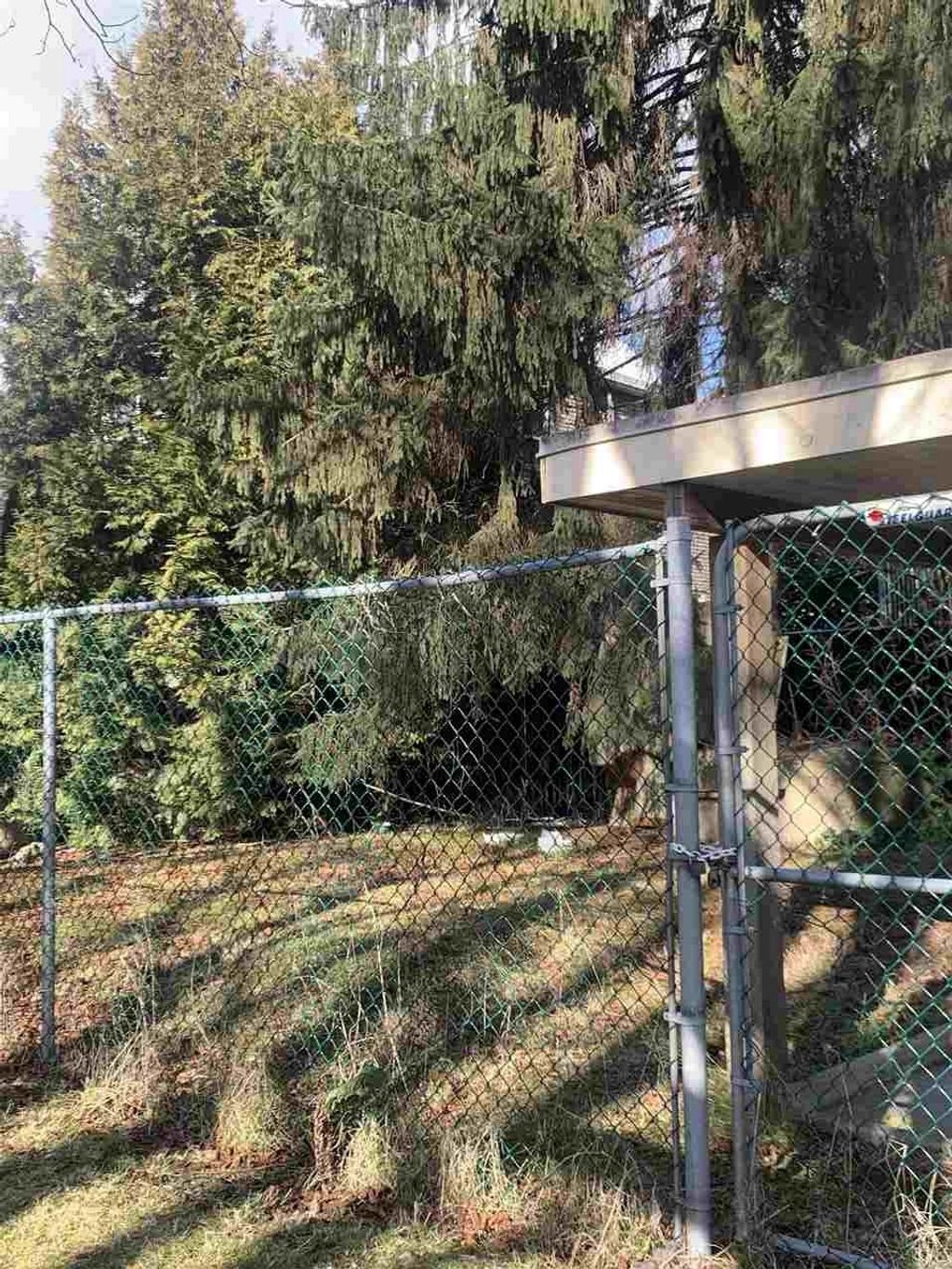 listing image 1104618254330197785