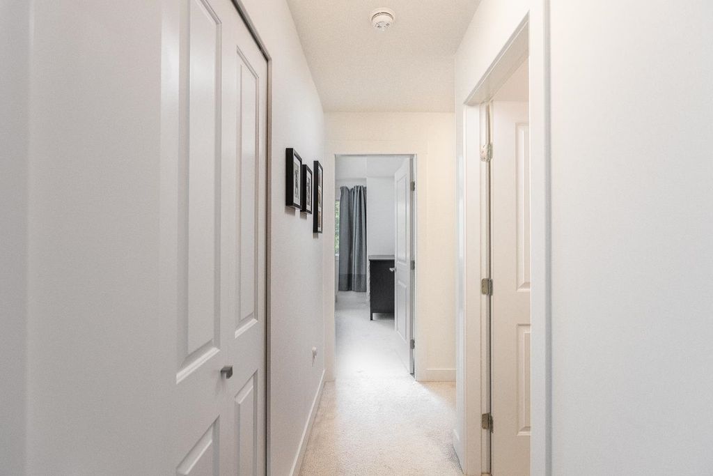listing image 1103288821468700733