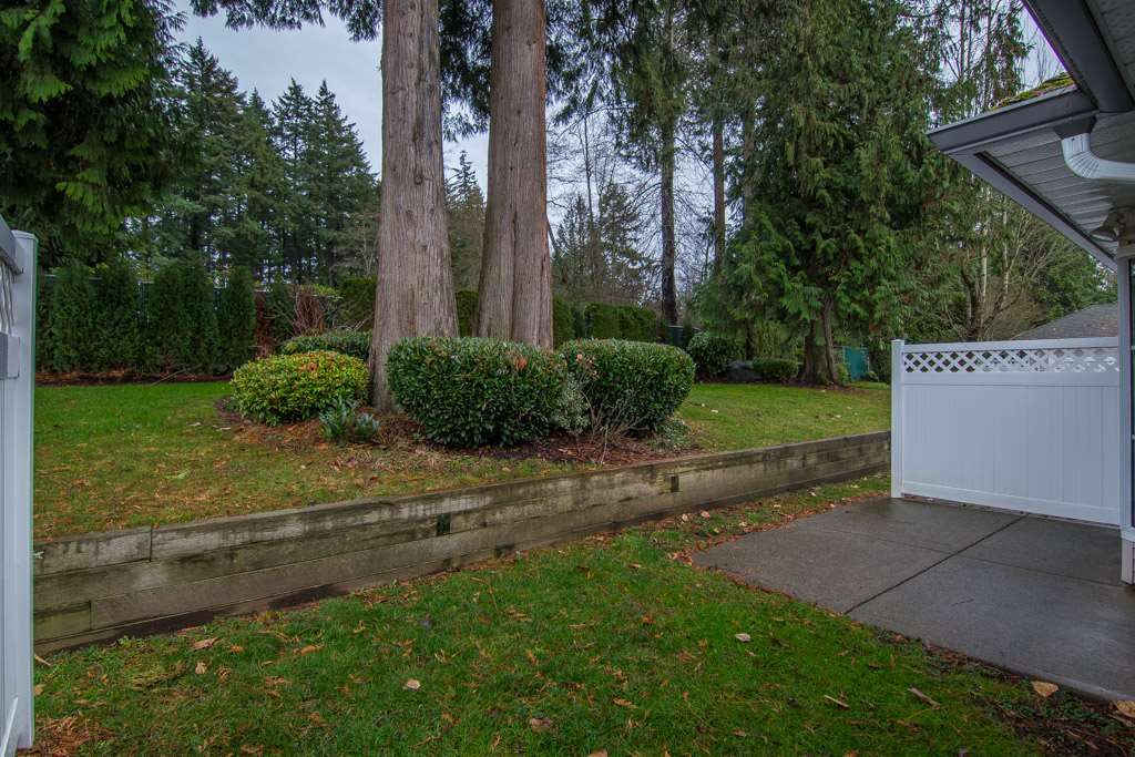 listing image 1108906421388246595