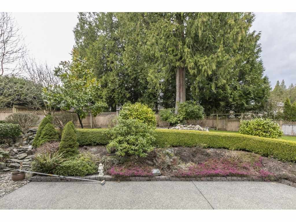 listing image 1107822682720772051