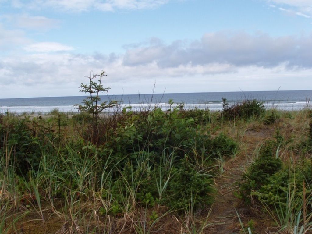 listing image 1101262248367256597