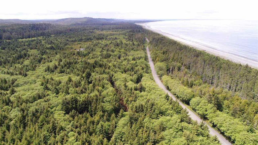 listing image 1102547889072472639