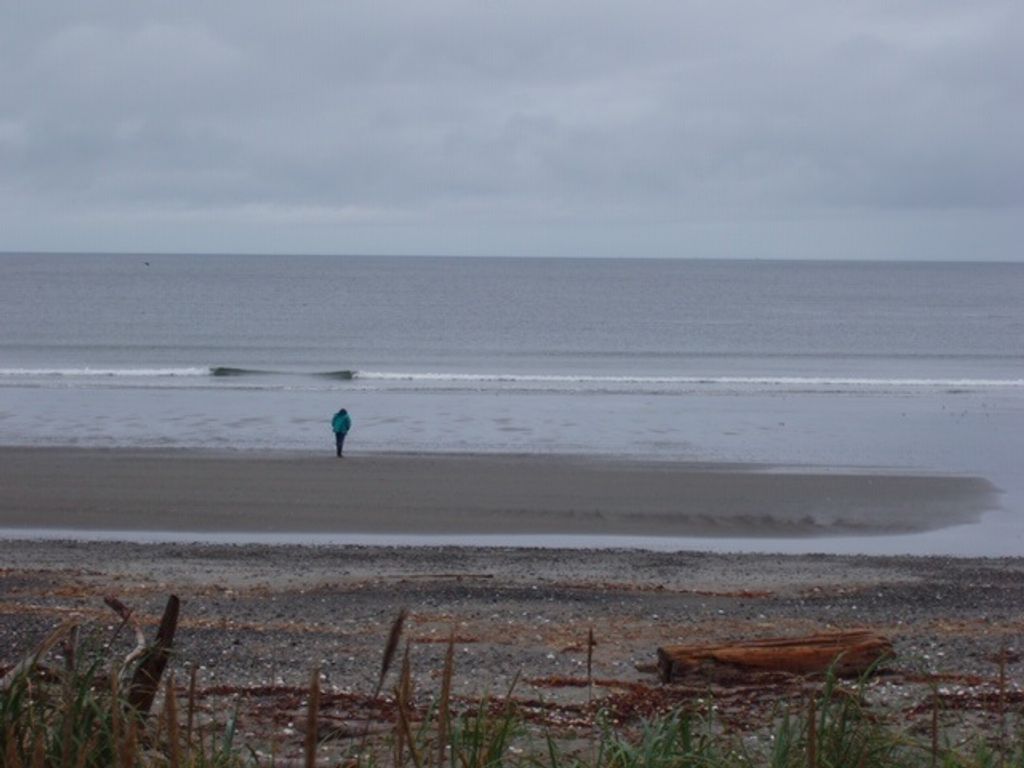 listing image 1101990459917731178