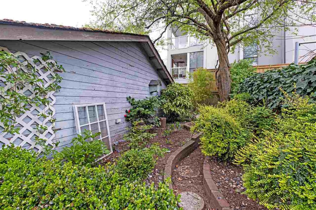 listing image 1100202878689161207