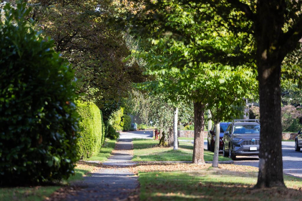 listing image 1100648924524082476